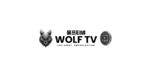 울프티비 이미지